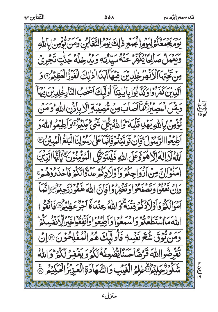 سورة التغابن